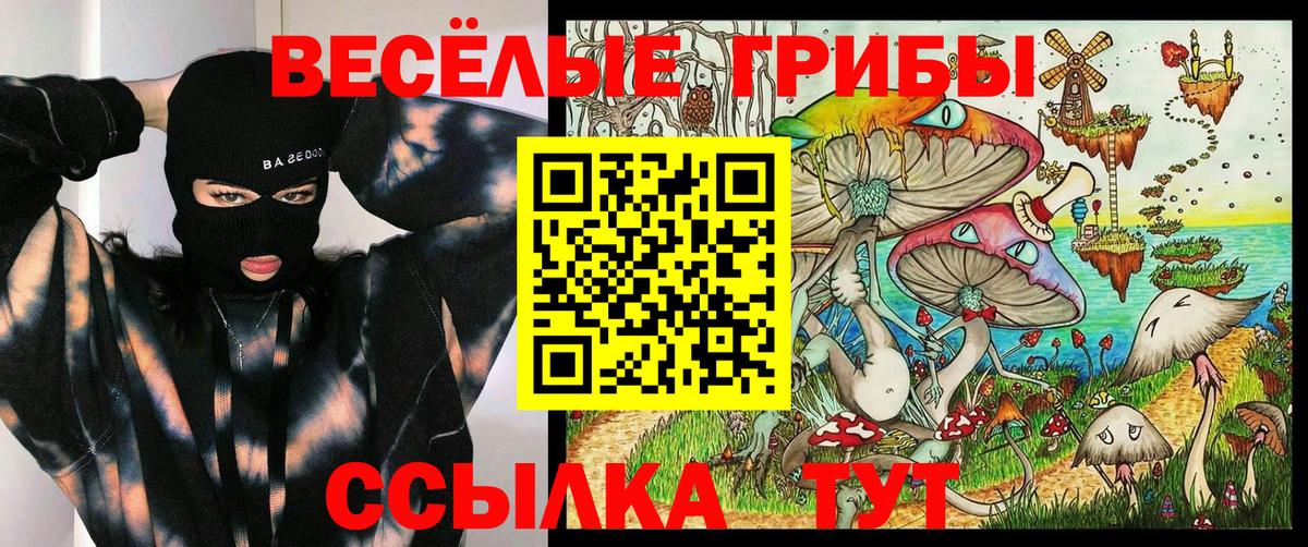 Оренбург  Псилоцибиновые грибы прущие грибы  Псилоцибиновые грибы Magic Shrooms  Вход с VPN 